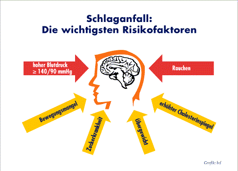 Risikofaktoren